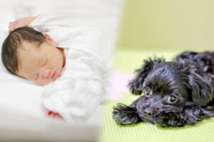11月16日、香川県で商品知識・技術講習を開催します