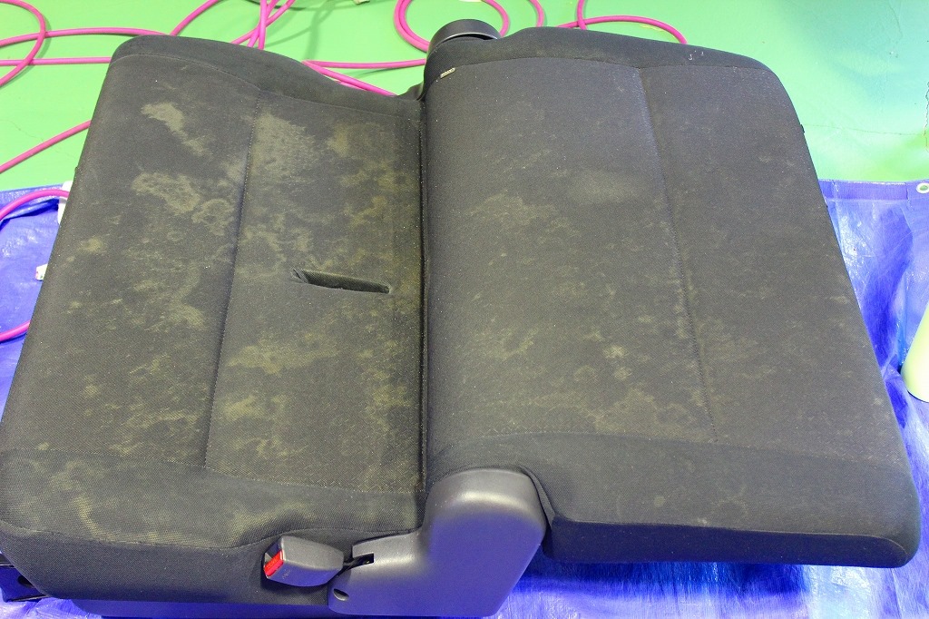 547515491_25175407358727049_3411964935716956284_n