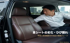 TS-Link eyecatch 01 trouble