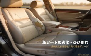 東海地方の四季と年間レザーシートケアカレンダー｜猛暑・高湿度対応 | 株式会社EDEN