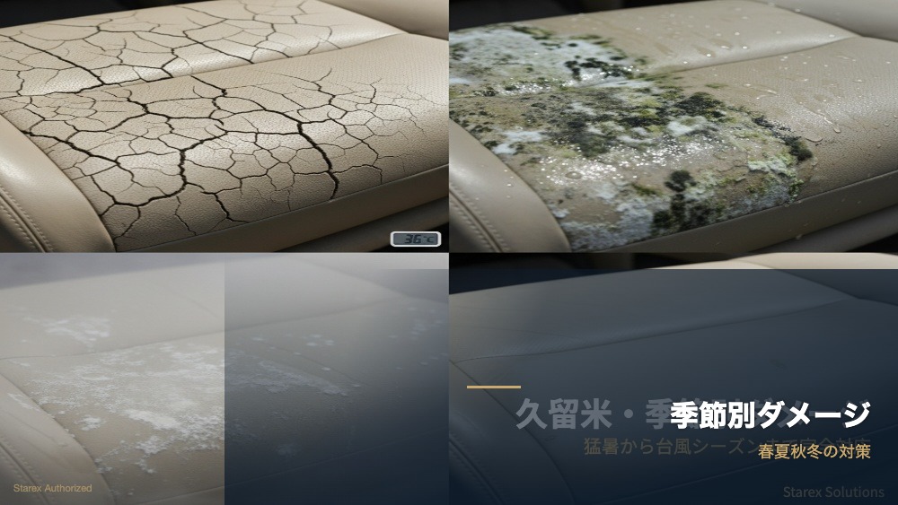 沖縄の亜熱帯気候と年間ケアカレンダー｜CDOカーディティリング沖縄 - 施工イメージ