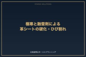 【帯広市】極寒と融雪剤による革シートの硬化・ひび割れ