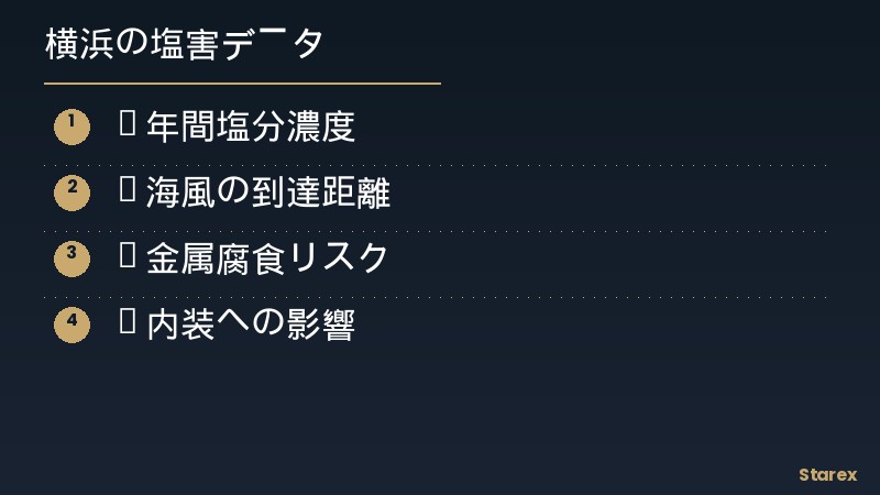 塩害メカニズム図 - 塩分・腐食・劣化の進行
