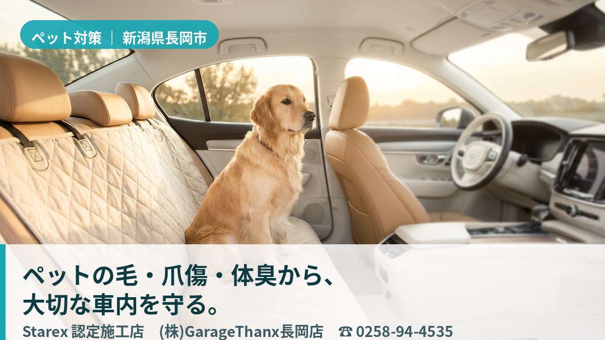 雪の降る長岡で、清潔に保たれた車内の後席に座る愛犬のイメージ(GarageThanx長岡店)