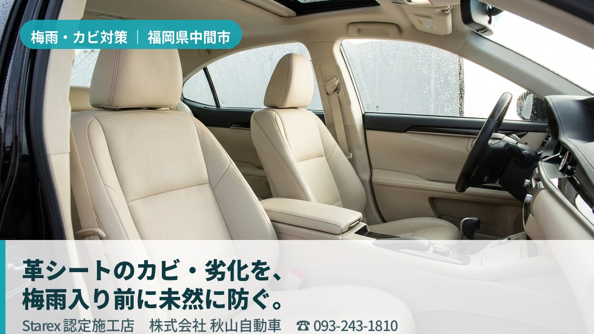 明るい光が差し込む清潔な車内のレザーシート(中間市・秋山自動車の施工イメージ)