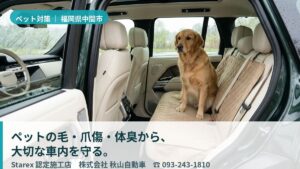 【中間市】大型犬の送迎で愛車が傷む前に——整備の目で診る秋山自動車のペット内装対策