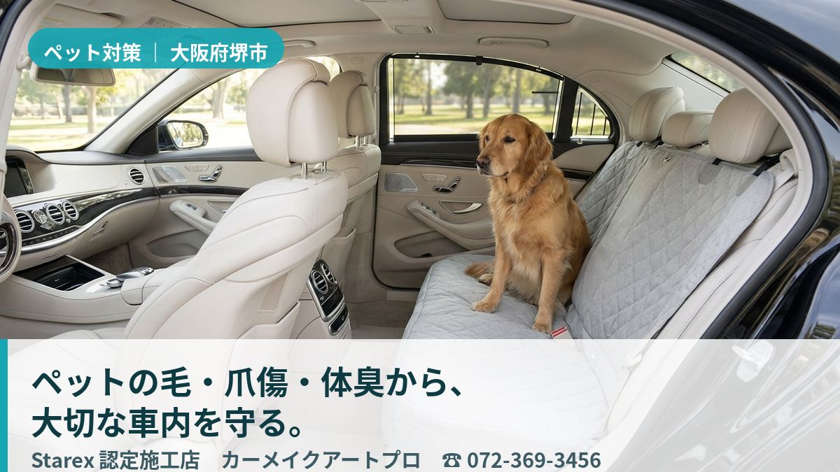 清潔に保たれた車内に並んで座る複数の小型犬と、抜け毛が積もりにくい後席(堺市・カーメイクアートプロの施工イメージ)