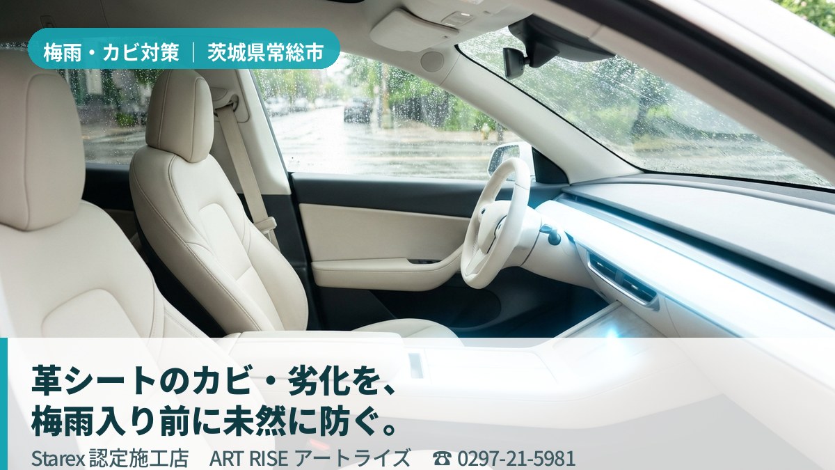 明るい光が差し込む清潔な車内のレザーシート(常総市・ART RISEの施工イメージ)