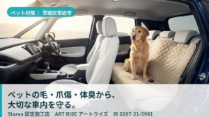 【常総市】キャンプ・川遊びの泥と砂から愛車を守る——アウトドア派のためのART RISEペット内装対策