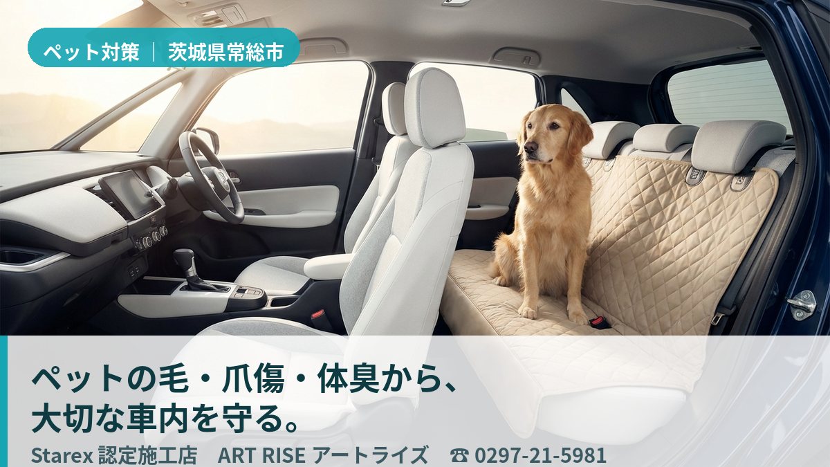 【常総市】キャンプ・川遊びの泥と砂から愛車を守る——アウトドア派のためのART RISEペット内装対策