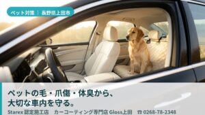 【上田市】山あそび・通院も安心、愛犬の泥と結露臭対策——Gloss上田