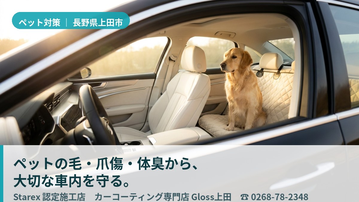 【上田市】山あそび・通院も安心、愛犬の泥と結露臭対策——Gloss上田
