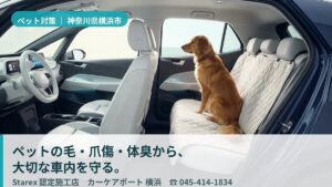 【横浜市】愛犬とのお出かけで車内に毛・におい・爪あと——カーケアポート横浜のペット内装対策