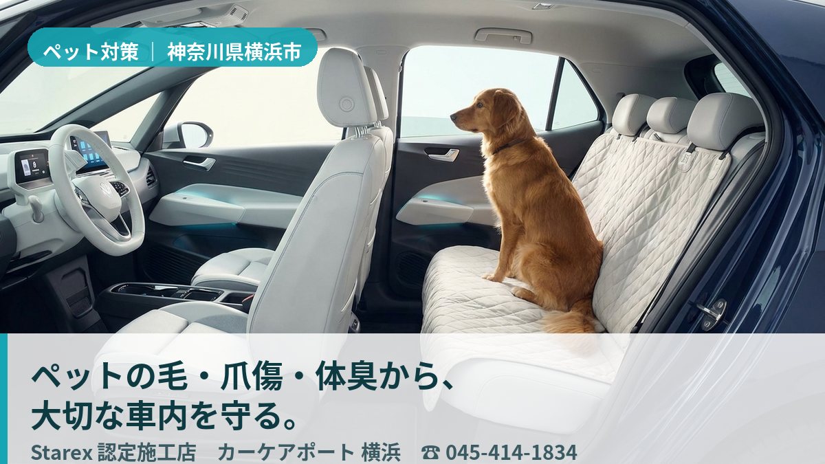 清潔に保たれた車内の後席で落ち着いて座る小型犬(横浜・カーケアポート横浜のイメージ)