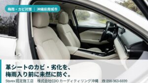 【南城市】梅雨284mm×亜熱帯の高温多湿×沖縄の強烈UV——革シートを守る世界基準のケア