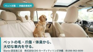 【南城市】南国の蒸し暑さで車内に犬のにおいがこもる——湿気と体臭からシートを守るカーディテイリング沖縄