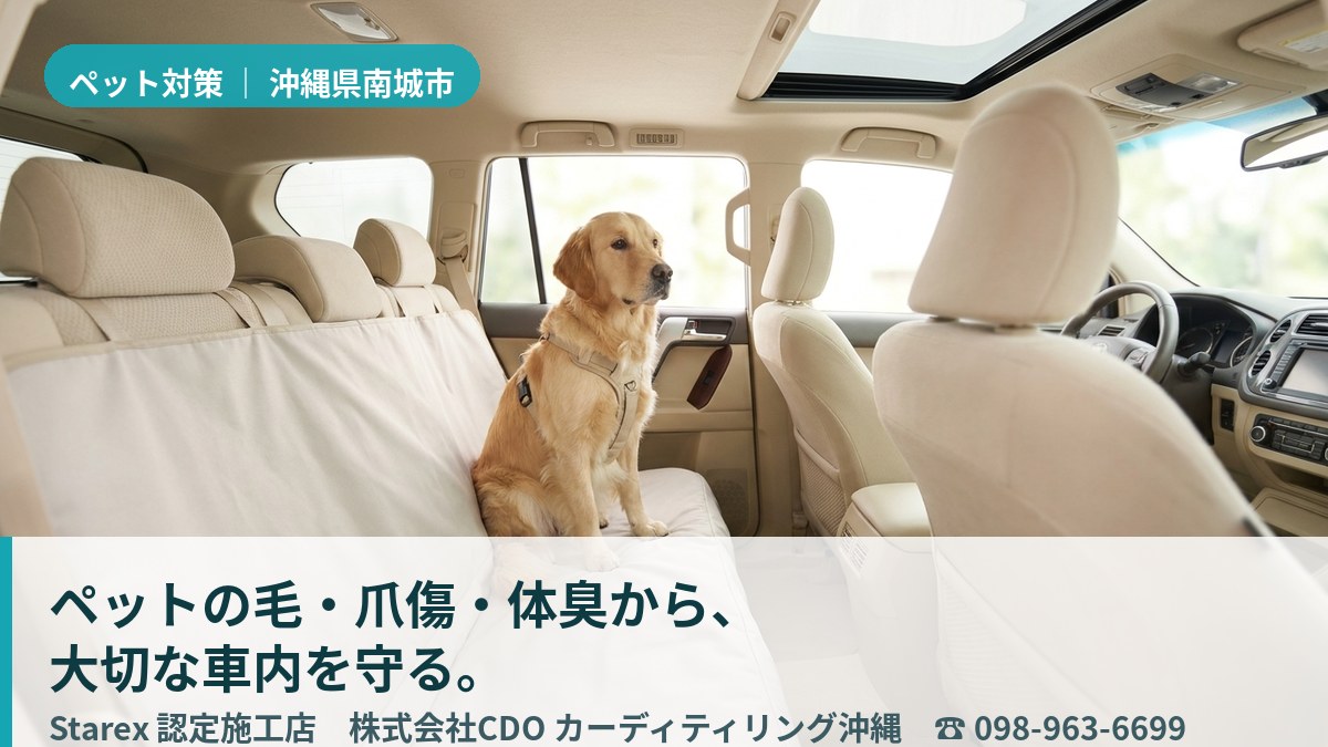 蒸し暑い日に愛犬を乗せても清潔に保たれた車内シート（南城市・カーディテイリング沖縄の施工イメージ）