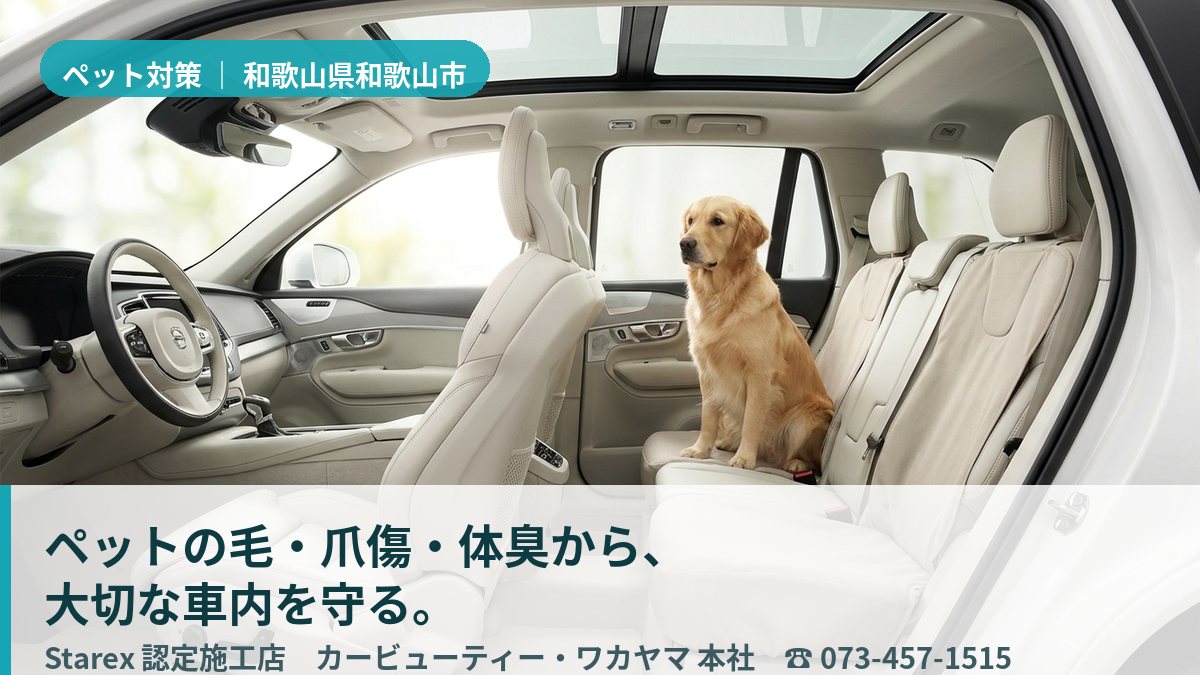 清潔に保たれた後席にやさしく寝かされたシニア犬(和歌山市・カービューティー・ワカヤマのイメージ)