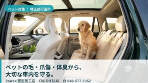 【行田市】子犬を迎えたばかりの家庭へ——トイトレ期の粗相も守るCW-OHTAKI