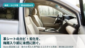 【熊本市】梅雨448mmの集中豪雨×高温多湿×黄砂——エコスタイル熊本が守る革シートの真実