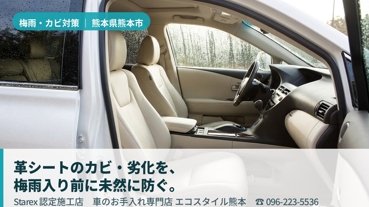 明るい光が差し込む清潔な車内のレザーシート（熊本市・エコスタイル熊本の施工イメージ）