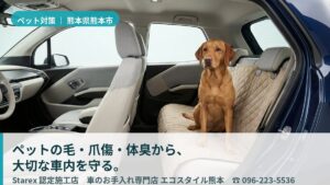 【熊本市】赤ちゃんとペットが同乗する車の衛生対策——低臭・低刺激で守るエコスタイル熊本
