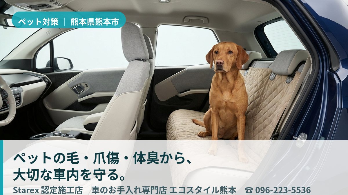 赤ちゃんとペットが安心して同乗できる、清潔に保たれた車内（熊本市・エコスタイル熊本の施工イメージ）