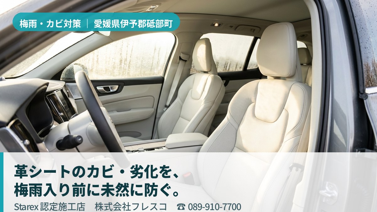 明るい光が差し込む清潔な車内のレザーシート(砥部町・フレスコの施工イメージ)