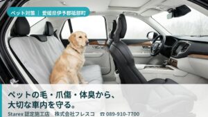 【伊予郡砥部町】大型犬のよだれ・体臭・抜け毛から車内を守る——フレッシュカーサービスのペット対策