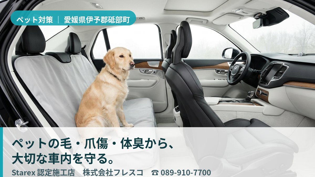 清潔に保たれた広い後席に伏せて寛ぐ大型犬（砥部町・フレッシュカーサービスのイメージ）
