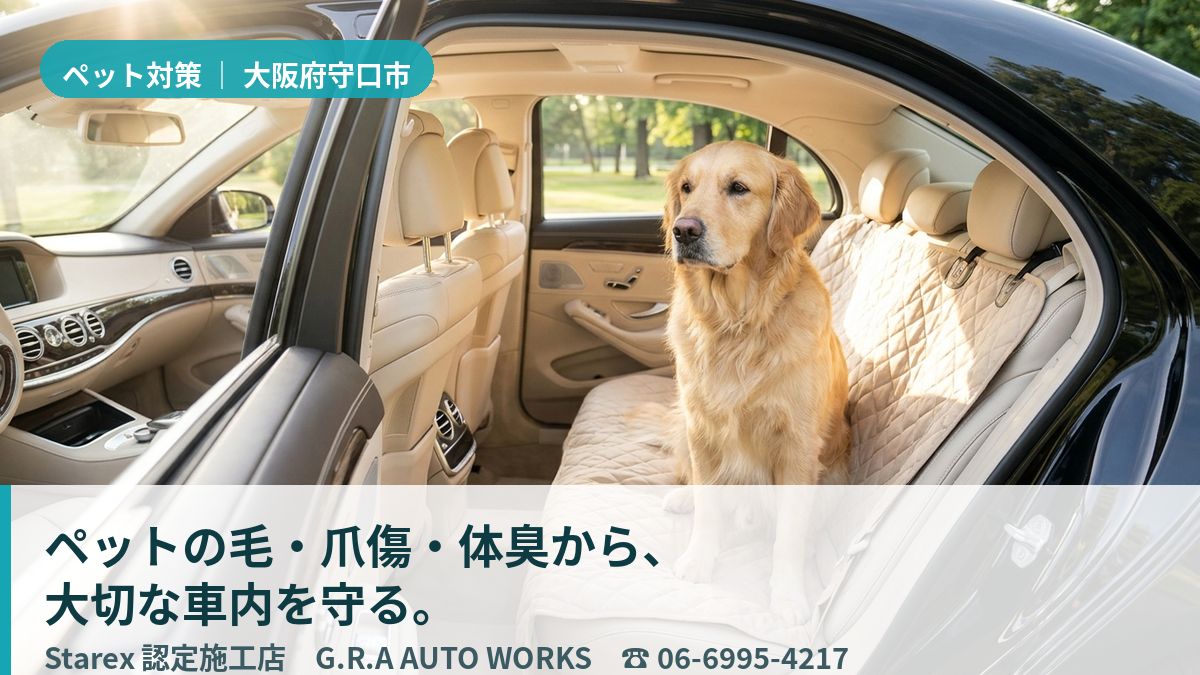 清潔に整えられた助手席で前を見つめる愛犬とこだわりの内装（守口市・G.R.A AUTO WORKSのイメージ）