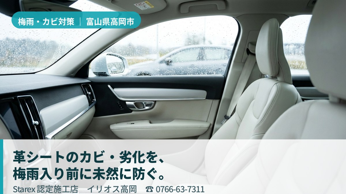 明るい光が差し込む清潔な車内のレザーシート(高岡市・イリオス高岡の施工イメージ)