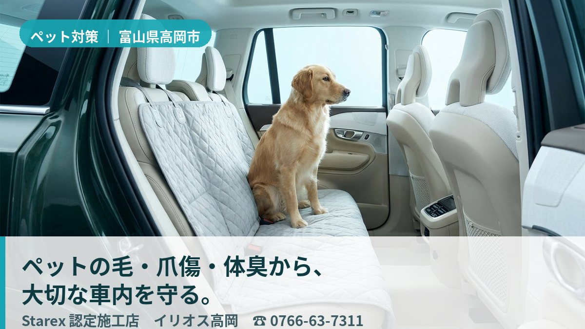 【高岡市】北陸の湿気と濡れた被毛のにおいから車内を守る——イリオス高岡のペット対策