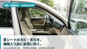 【日向市】梅雨516mm×日向灘の潮風×南国の強紫外線——(有)黒木自動車が守る革シートの真実