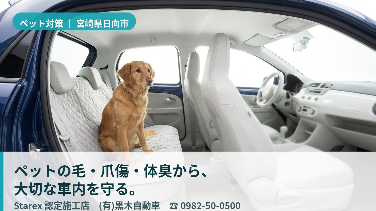 サーフ帰りに相棒犬を乗せても清潔に保たれた車内シート（日向市・黒木自動車の施工イメージ）