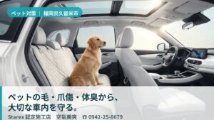 【久留米市】繊維に染み込むペット臭を根本から断つ——空気とにおいの専門店・空氣美爽