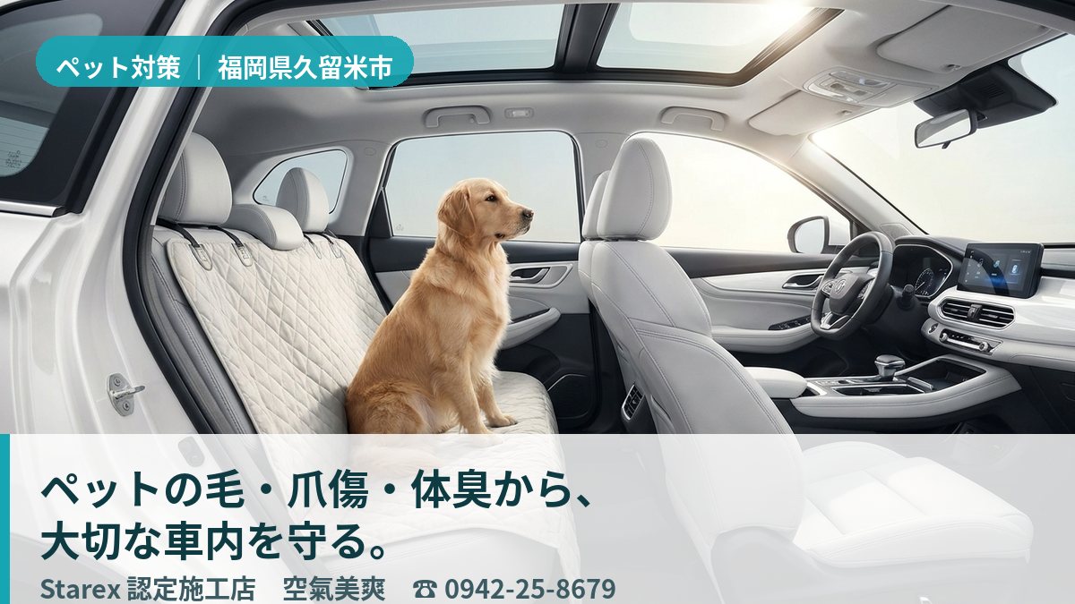 空気まで澄んだように清潔に保たれた車内(久留米市・空氣美爽のペット対策イメージ)