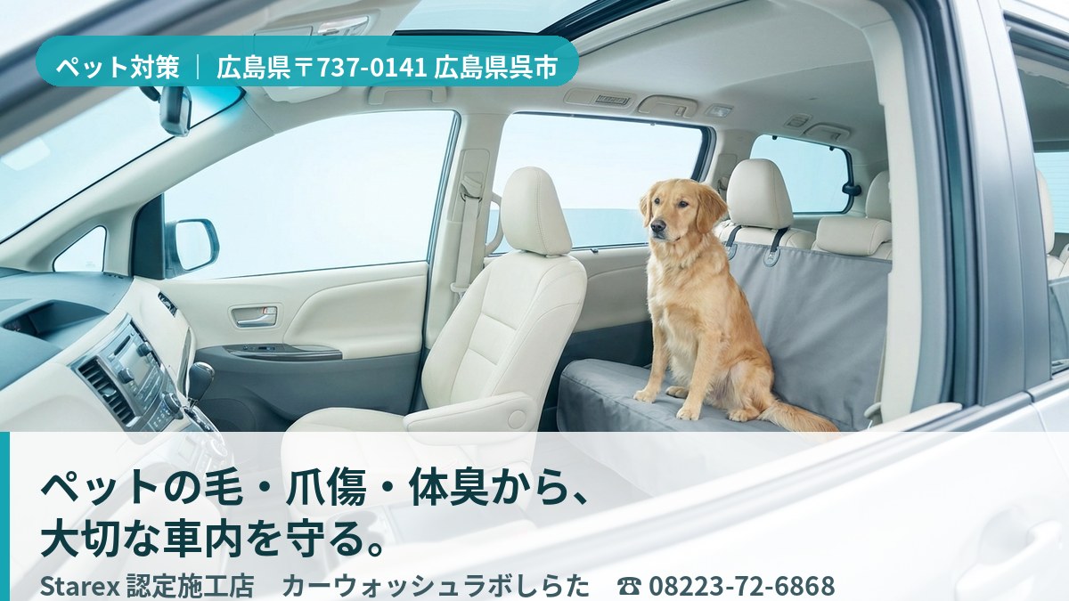 清潔に保たれた車内でくつろぐ犬(呉市・ラボしらたのペット対策イメージ)