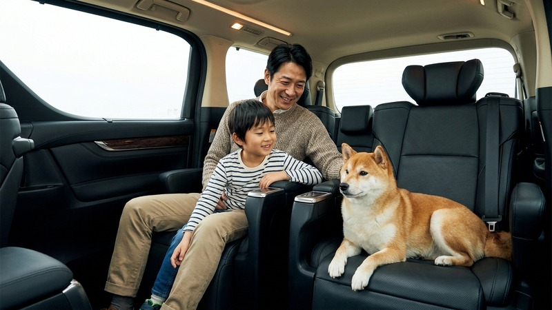 Starex 施工後 3 年経過したシートと未施工シートの比較イメージ