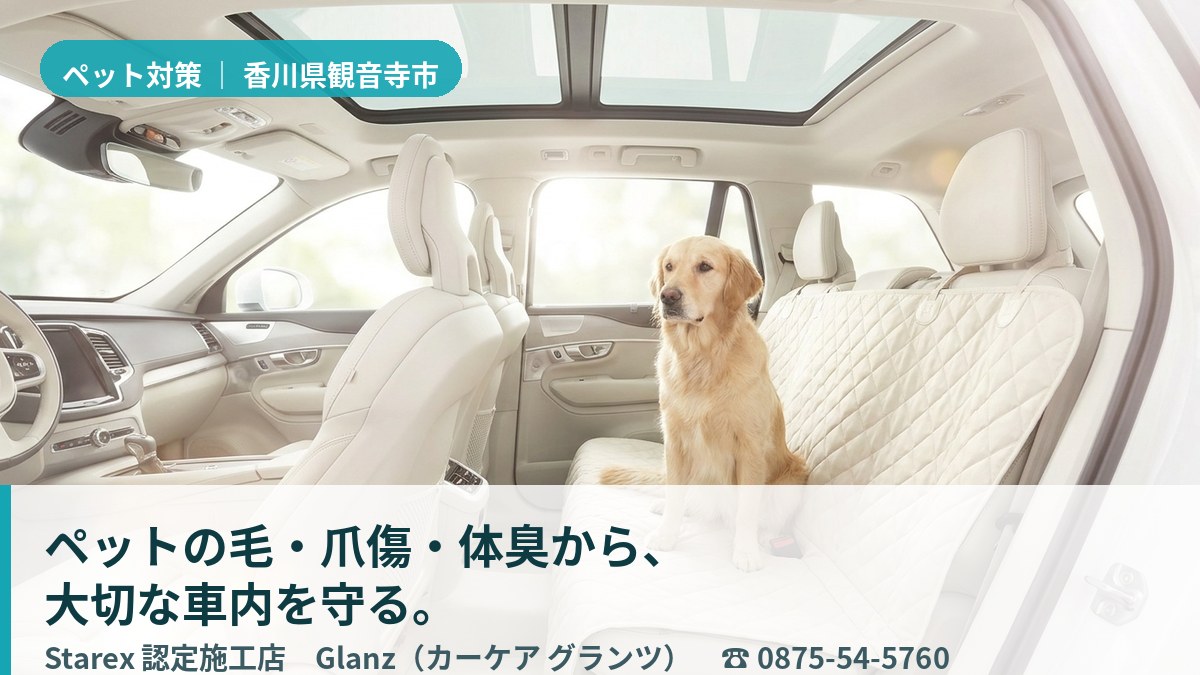 小型犬を膝に乗せても上質さを保つ、清潔な車内(観音寺市・カーケア グランツの施工イメージ)