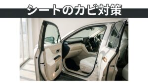 車のシートのカビ取りと予防｜梅雨と夏の車内対策